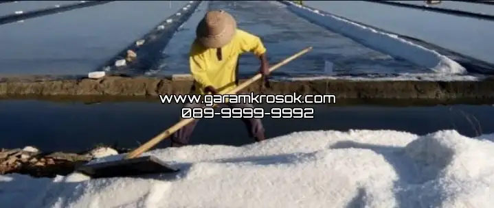 Jual Garam Kasar Untuk Kolam Ikan: Analisis Mendalam Peran Garam Krosok Madura dalam Ekosistem Akuatik